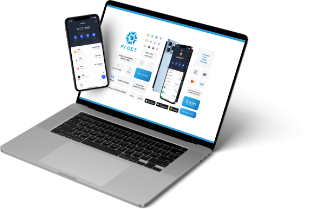 PC app «Frost»